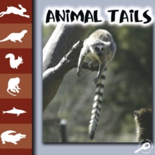 Image for Animal tails