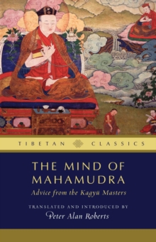 Image for The mind of Mahamudra: advice from the Kagyu masters