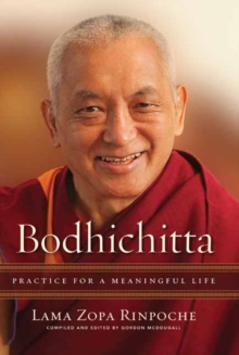 Image for Bodhichitta  : practice for a meaningful life