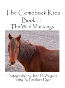 Image for The Comeback Kids--Book 11--The Wild Mustangs