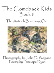 Image for The Comeback Kids, Book 8, the Antioch Burrowing Owl
