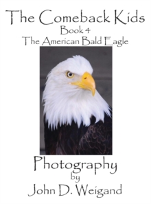 Image for The Comeback Kids, Book 4, The American Bald Eagle