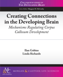 Image for Creating Connections in the Developing Brain