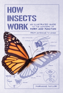 Image for How Insects Work: An Illustrated Guide to the Wonders of Form and Function--from Antennae to Wings