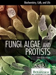 Image for Fungi, Algae, and Protists