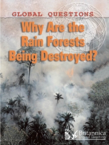 Image for Why are the rainforests being destroyed?