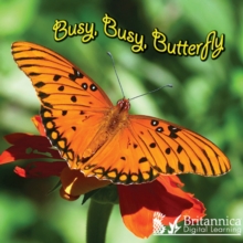 Image for Busy, Busy, Butterfly