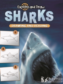 Image for Sharks: drawing and reading