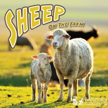 Image for Sheep on the Farm