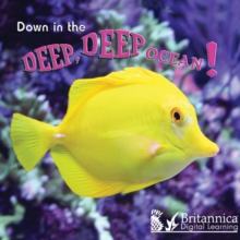 Image for Down in the Deep Deep Ocean