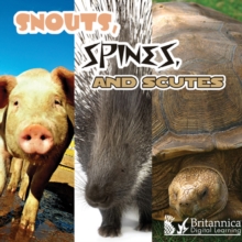 Image for Snouts, Spines, and Scutes