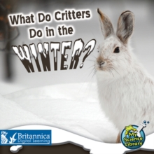 Image for What do critters do in the winter?