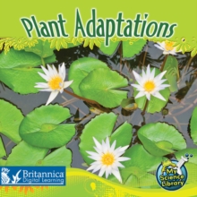 Image for Plant adaptations