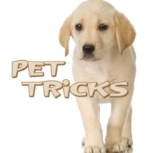 Image for Pet tricks