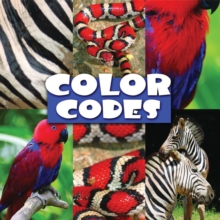 Image for Color codes