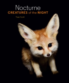 Image for Nocturne: creatures of the night