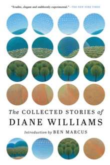 Image for The Collected Stories Of Diane Williams