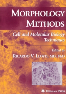 Image for Morphology Methods