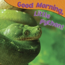 Image for Good morning, little python!