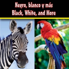 Image for Negro, blanco y mas: Black, White, and More