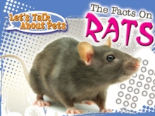 Image for The Facts On Rats