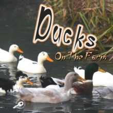Image for Ducks On The Farm
