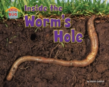 Image for Inside the Worm's Hole