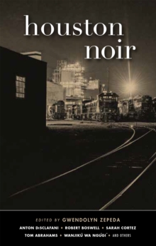 Image for Houston Noir