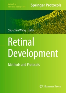 Image for Retinal Development : Methods and Protocols