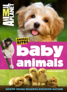 Animal Planet Baby Animals