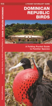 Image for Dominican Republic Birds : A Folding Pocket Guide to Familiar Species