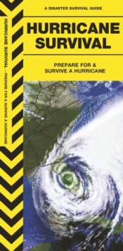Image for Hurricane Survival