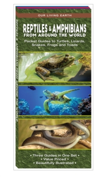 Image for Reptiles & Amphibians from Around the World