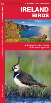 Image for Ireland Birds : A Folding Pocket Guide to Familiar Species