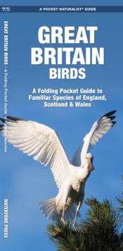 Image for Great Britain Birds