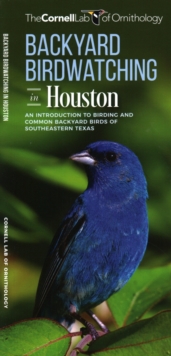 Image for Backyard Birdwatching in Houston