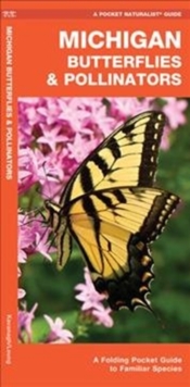 Image for Michigan Butterflies & Pollinators