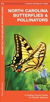 Image for North Carolina Butterflies & Pollinators : A Folding Pocket Guide to Familiar Species