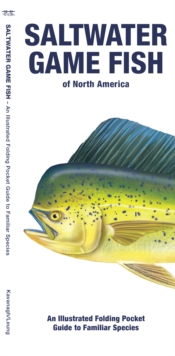 Image for Saltwater Game Fish of North America : An Illustrated Folding Pocket Guide to Familiar Species