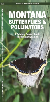 Image for Montana Butterflies & Pollinators : A Folding Pocket Guide to Familiar Species