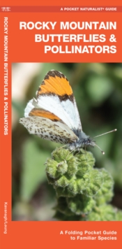Image for Rocky Mountain Butterflies & Pollinators : A Folding Pocket Guide to Familiar Species