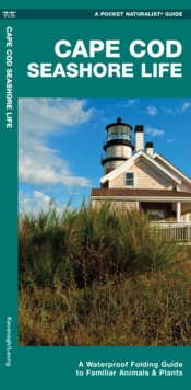 Image for Cape Cod Seashore Life : A Waterproof Folding Guide to Familiar Animals & Plants