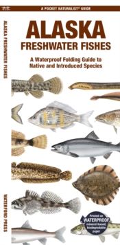 Image for Alaska Freshwater Fishes : A Waterproof Folding Guide to Native and Introduced Species