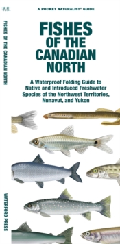 Image for Fishes of the Canadian North