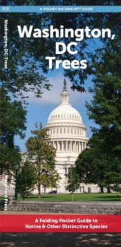 Image for Washington, DC Trees : A Folding Pocket Guide to Native & Other Distinctive Species