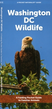 Image for Washington DC Wildlife : A Folding Pocket Guide to Familiar Animals
