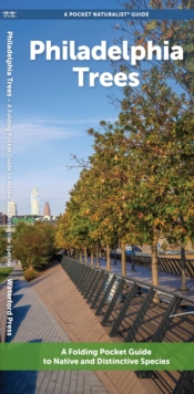 Image for Philadelphia Trees : A Folding Pocket Guide to Native & Other Distinctive Species