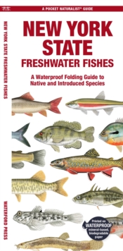 New York State Freshwater Fishes: A Waterproof Folding Guide to Native and Introduced Species