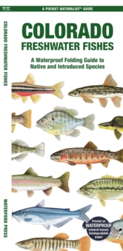 Image for Colorado Freshwater Fishes