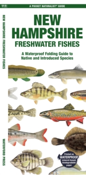 New Hampshire Freshwater Fishes: A Waterproof Folding Guide to Native and Introduced Species